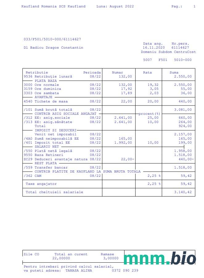 Szablon Kaufland Romania SCS paystub w formatach Word i PDF